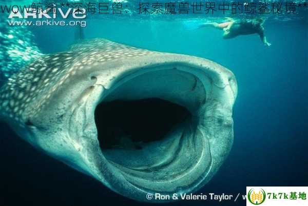 wow鲸鲨 **深海巨兽：探索魔兽世界中的鲸鲨秘境**